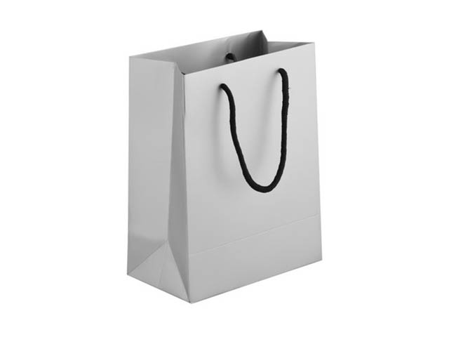 230Gsm Matte Gift Bag - 23Cm