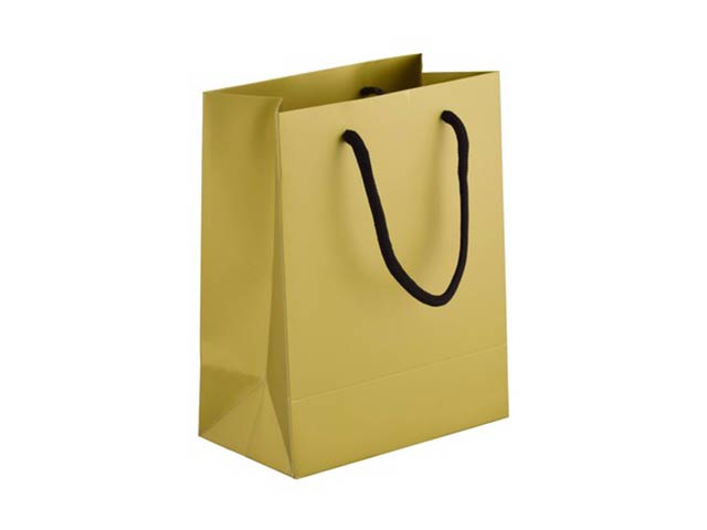 230Gsm Matte Gift Bag - 23Cm
