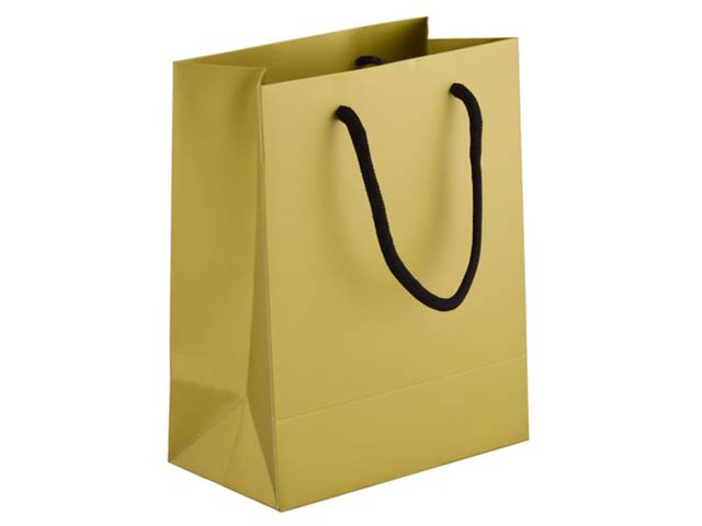 230Gsm Matte Gift Bag - 33Cm