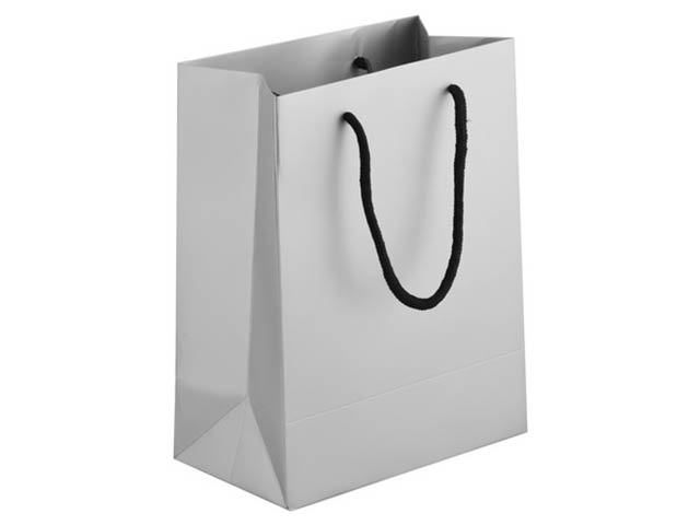 230Gsm Matte Gift Bag - 33Cm