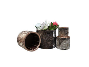 4 Piece Cork Display Boxes