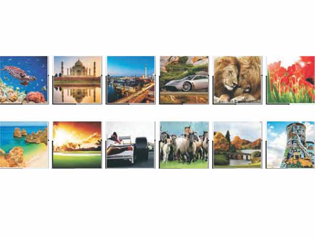 A2 Executive Wall Calendar - 7 Leaf - Image 5