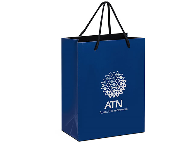 Altitude Dazzle Midi Paper Gift Bag - Image 3