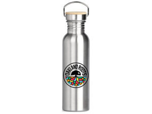 Altitude Girvana Stainless Steel Water Bottle -700Ml