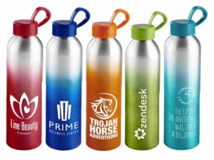 Altitude Island Aluminium Water Bottle - 650Ml
