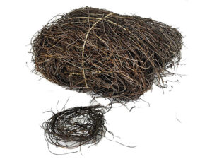 Angel Hair 520Gr