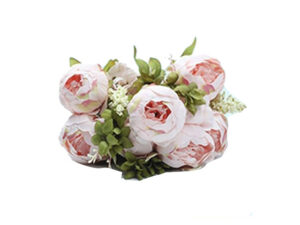 Antique Peonie Bush Salmon 48Cm