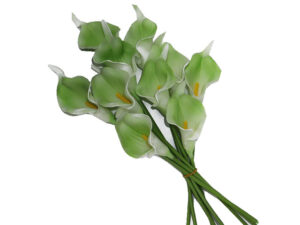 Arum Lily Bunch Light Green 35Cm