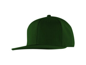 Birds Eye Mesh Snap Back Cap