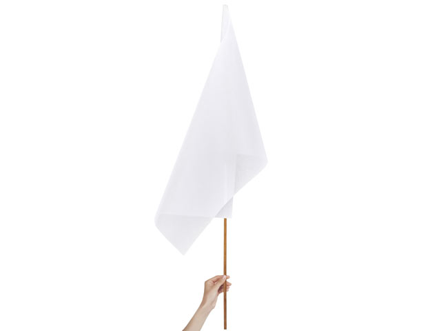 Champion Large Hand Flag 900Mm X 600Mm - Image 2