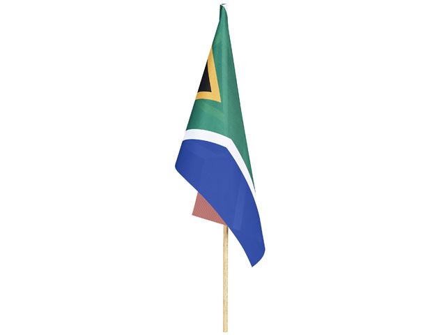 Champion Small Hand Flag 300Mm X 200Mm