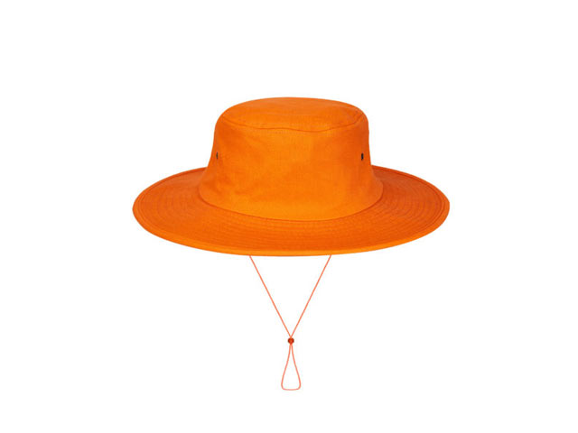 Cricket Hat