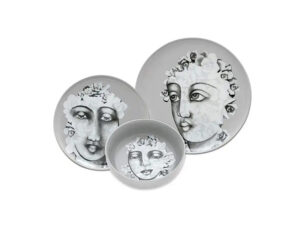 Dinnerware 12Pc Set - Succulent Faces