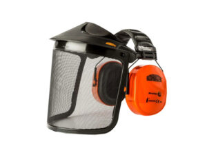 Face Shield and Hearing