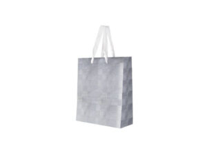 Gift Bag - 20Cm