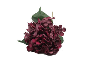 Hydrangea Stem Wine 52Cm