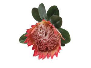 King Protea Orange 75Cm