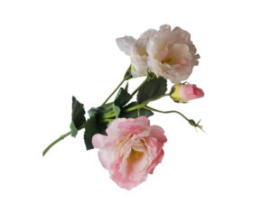Lisianthus Spray Pink
