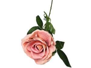 Open Lrg Rose Dusty Pink 50Cm