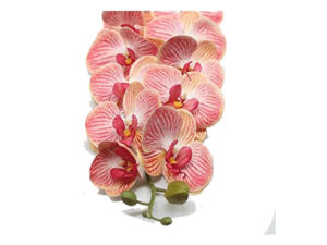 Orchid Stem Pink 1M