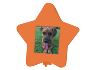 Picture Frame – Star Shape – Window