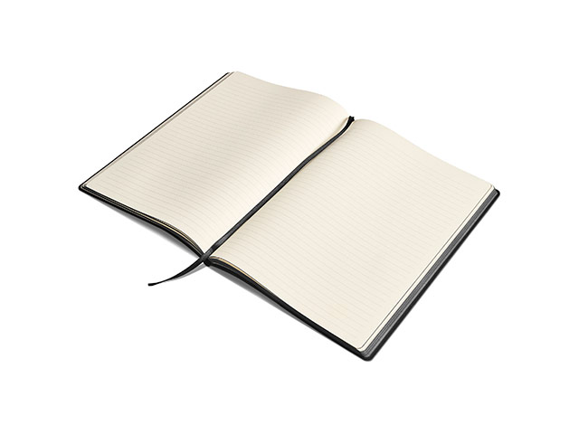 Renaissance A4 Soft Cover Notebook - Image 2
