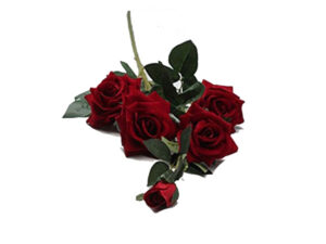 Rose Bunch 5 Stem Red 110Cm