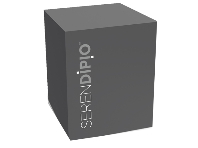 Serendipio Sheridan Stainless Steel Vacuum Tumbler - 300Ml - Image 4