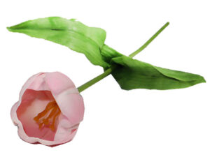 Tulip Pink 46Cm