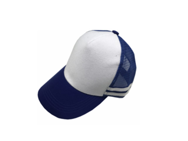 V-Trucker Cap - Image 5