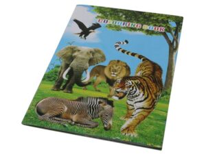 Wildlife Stickers And Colouring Book