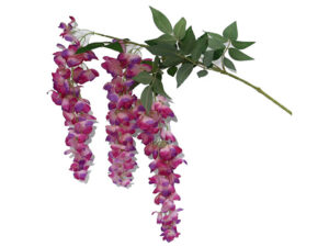 Wisteria Pink 102Cm